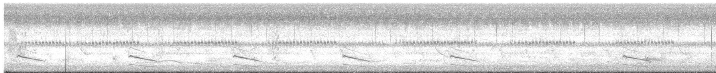 křepelka čínská - ML628589792