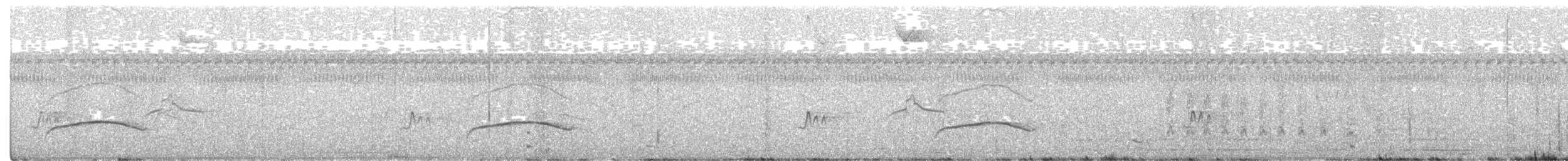 クリボウシオオガシラ - ML628594406