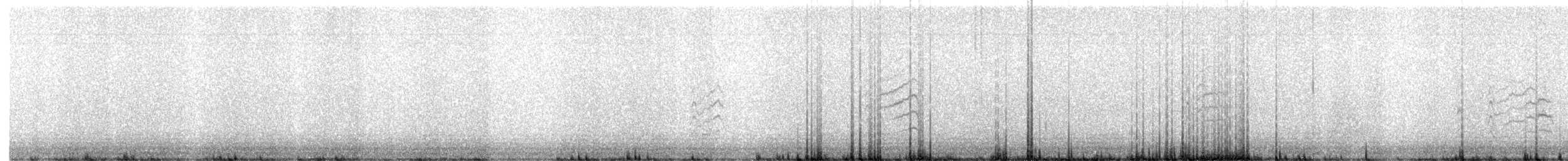 Green-tailed Towhee - ML628594653