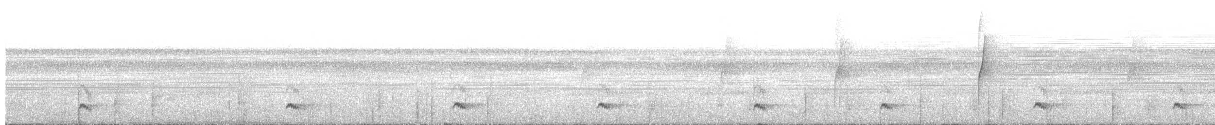 White-fronted Manakin - ML628596975
