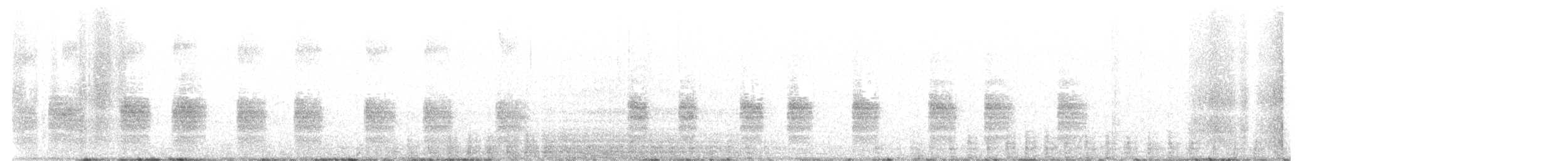 buřníček žlutonohý (ssp. oceanicus/exasperatus) - ML628599616