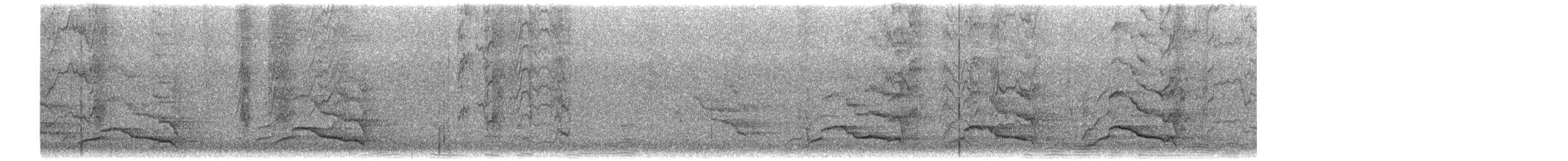 Baudin's Black-Cockatoo - ML628599918