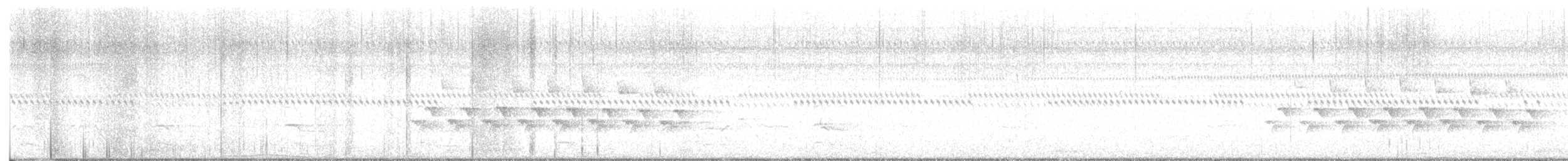チャバラマユミソサザイ（ludovicianus グループ） - ML628600432