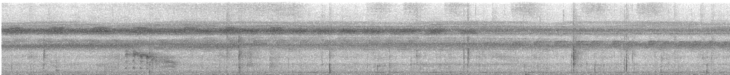svartbukgjøk - ML628600736