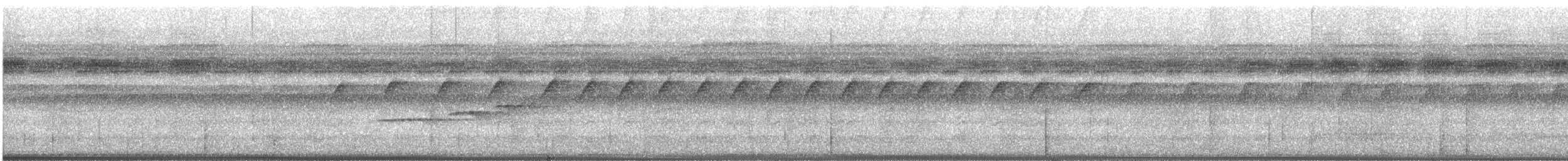 Zimmer's Antbird - ML628600781