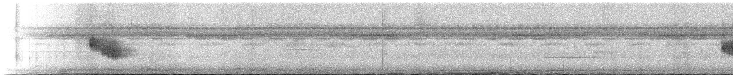 White-crowned Manakin - ML628611645