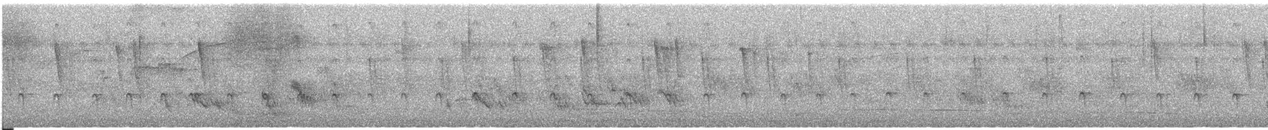 シンジュトビ - ML628618981