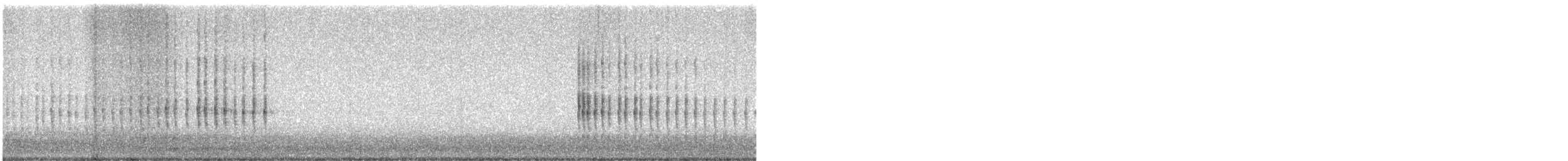 Belted Kingfisher - ML628626269