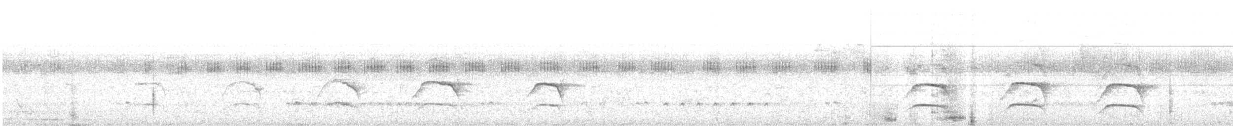 Sharp-shinned Hawk - ML628627875