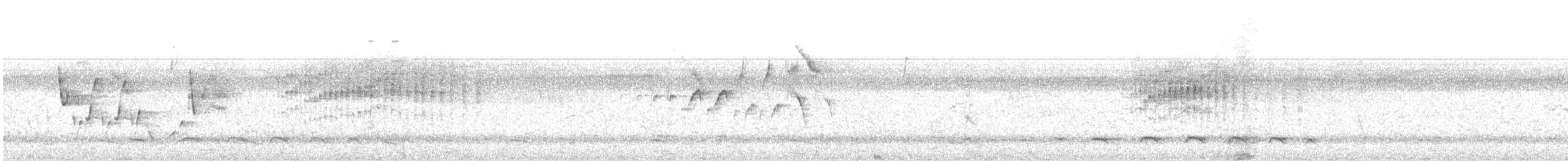 Wing-barred Piprites - ML628629099