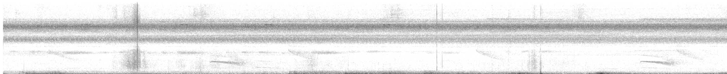 Varzea Schiffornis - ML628629500