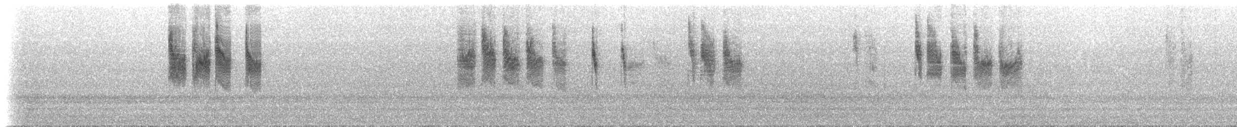 Séricorne à bec court - ML628634399