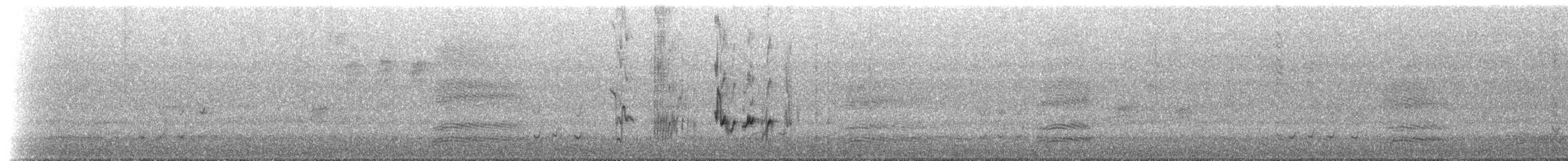 Perico Dorsirrojo - ML628634469