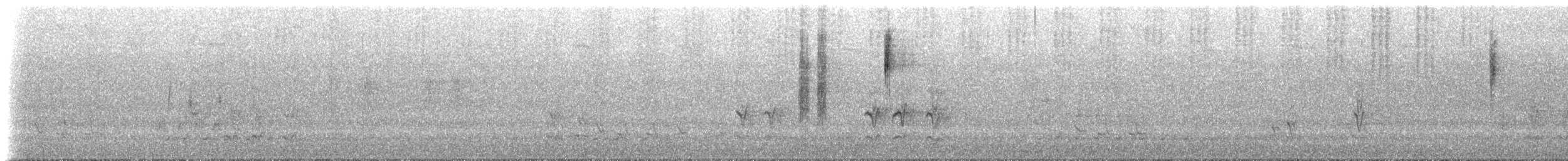 Sedosito Cejiblanco (grupo frontalis) - ML628634477