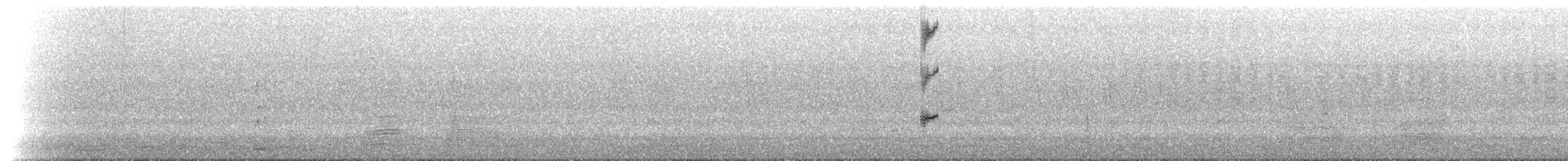 Perico Dorsirrojo - ML628634485