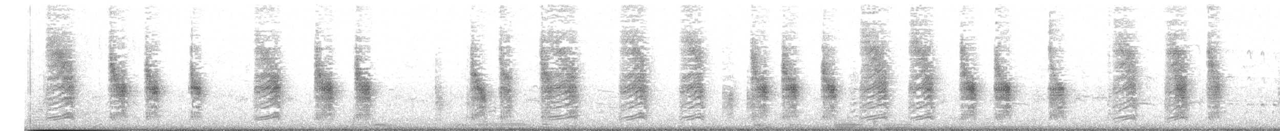 Southern House Wren - ML628635222