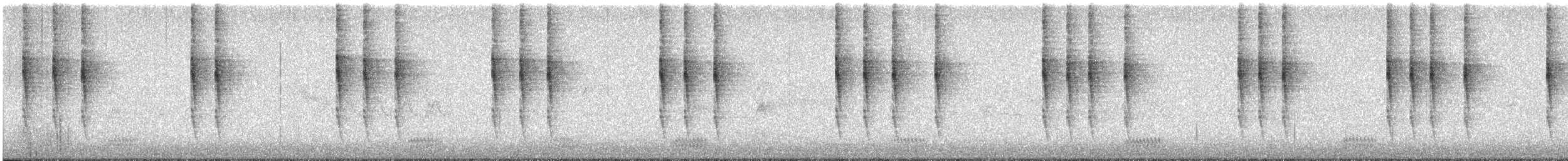 Pacific Wren - ML628637835
