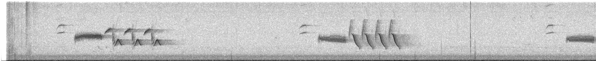 Bewick's Wren - ML628637855