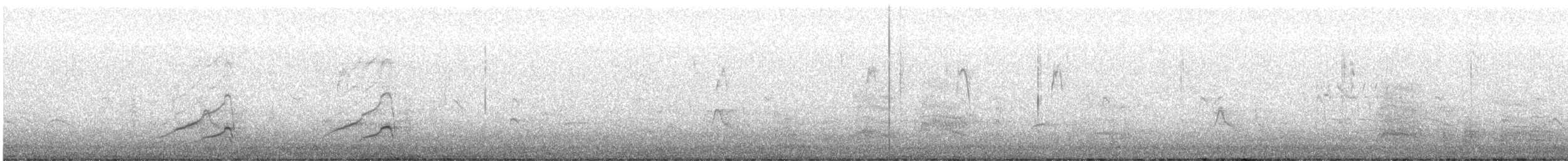 Chiloe Wigeon - ML628641545