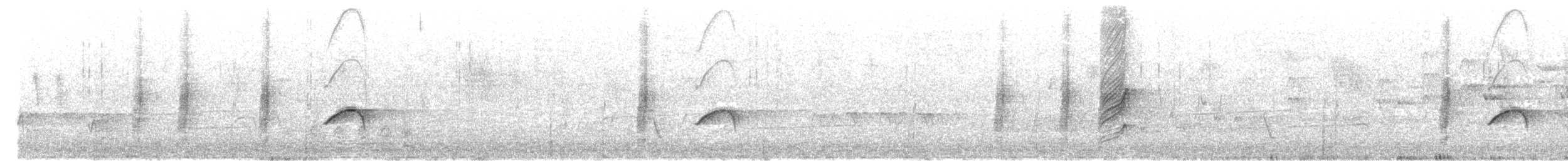 sotsvalestær - ML628652222