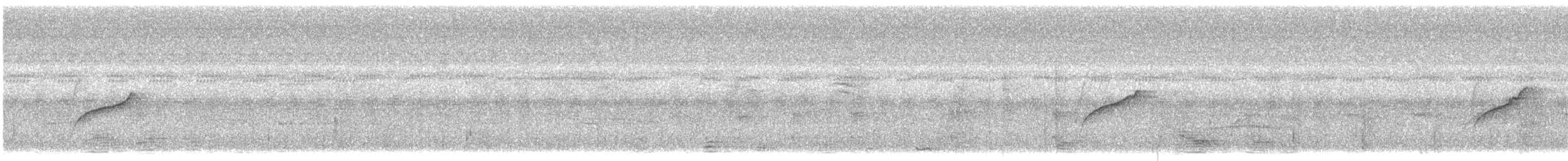 Moucherolle à longs brins - ML628653387