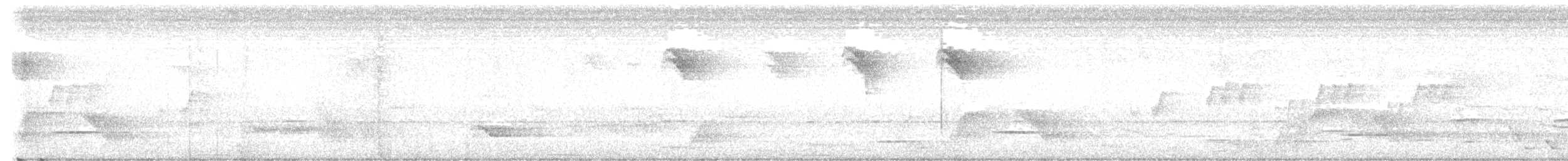 Russet-tailed Thrush - ML628653771