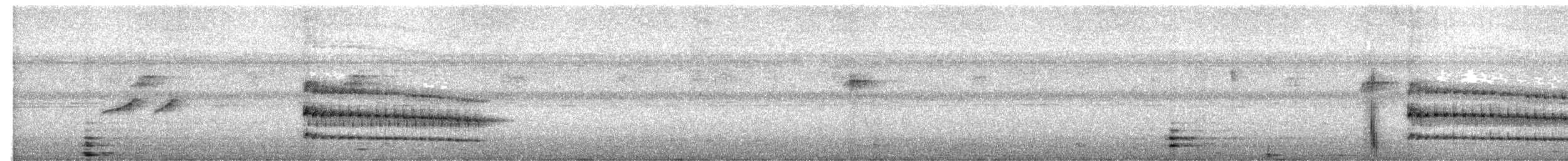 Plain Softtail - ML628657155