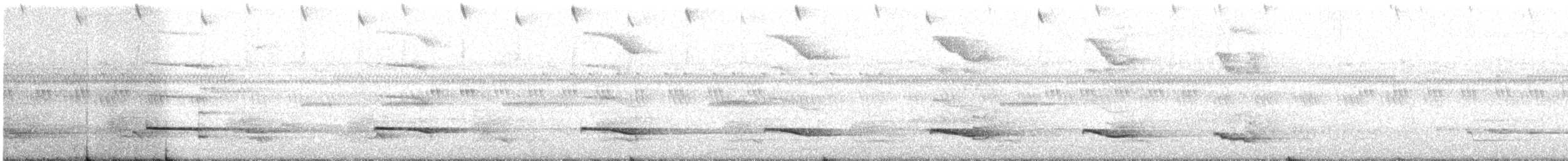 シロボシショウビン - ML628658381