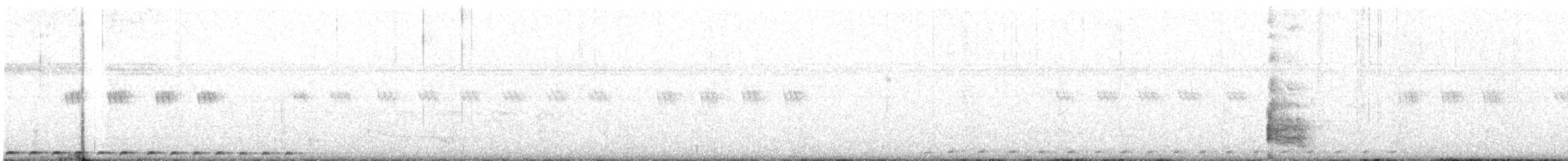 ミドリバンケン - ML628658456