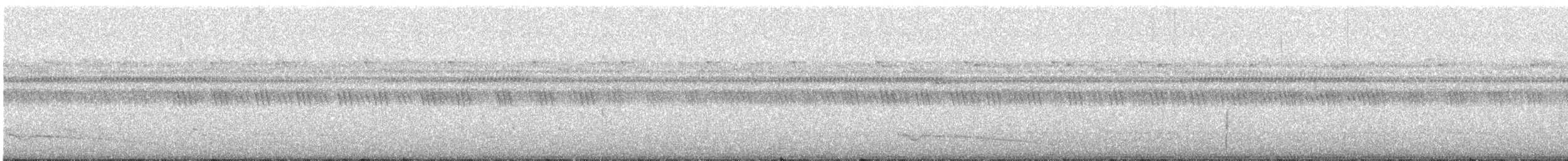オオミミヨタカ（macrotis） - ML628658810