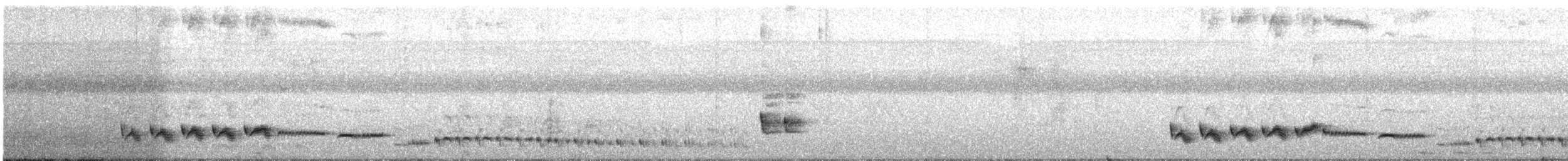 White-browed Shama - ML628659653