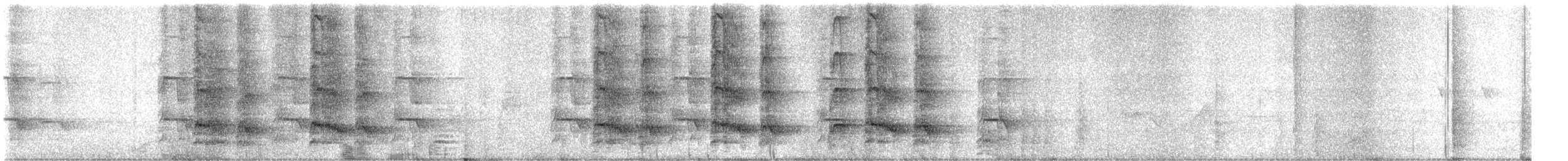 Crested Francolin - ML628660170