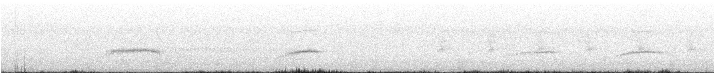 シンジュトビ - ML628662499