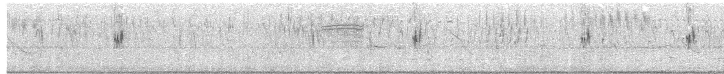 Hellmayr's Pipit - ML628664745