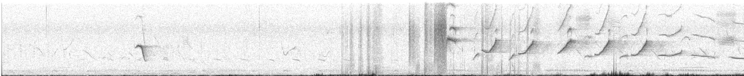Agrobate du Kalahari - ML628667939