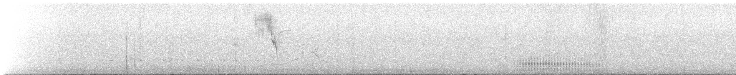 コミミグロカッコウ - ML628673564