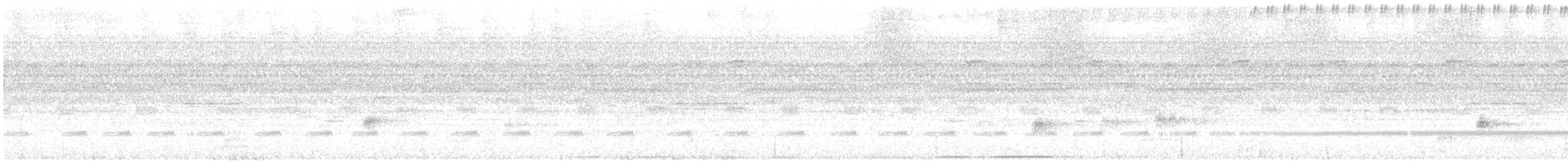 Nocturnal Curassow - ML628686021