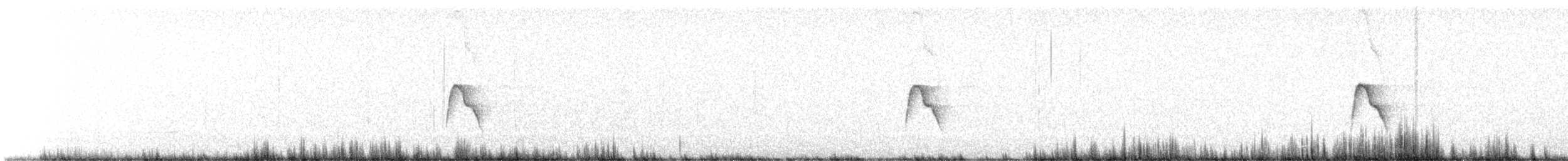Caribbean Elaenia - ML628686106
