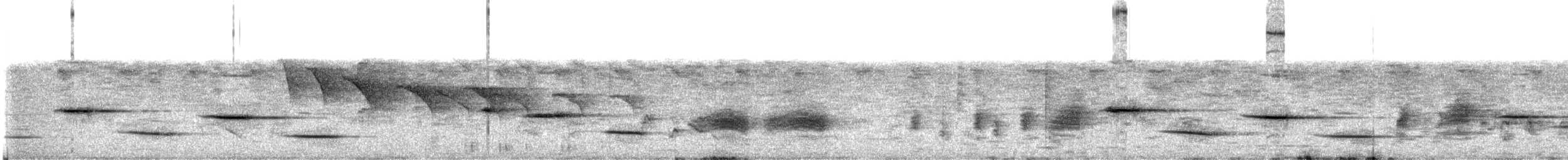 hvitvingepløsøye - ML628686406