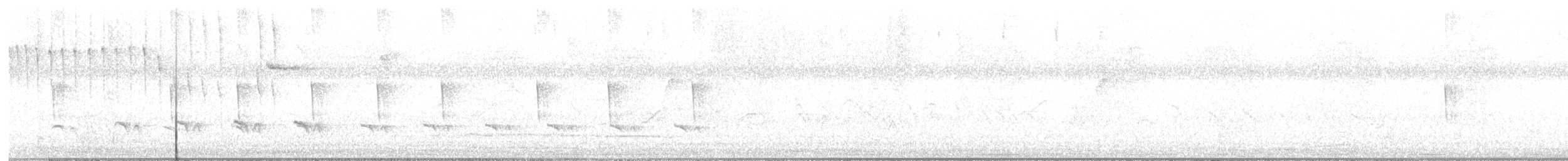 Stripe-chested Antwren - ML628688155