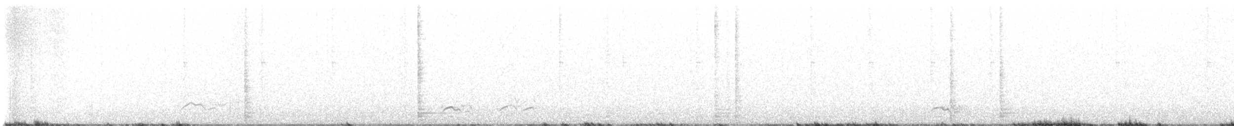 Schlankschnabelhäher - ML628695606