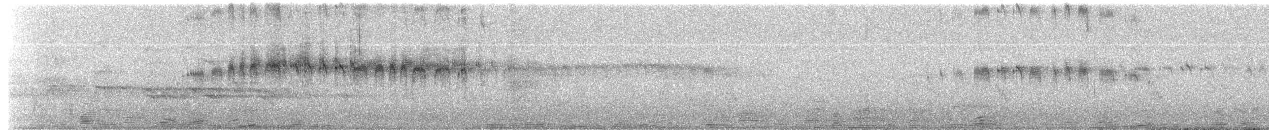 Andean Swift - ML628696355