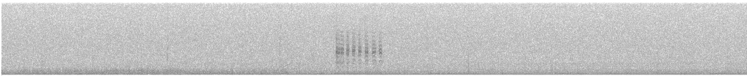 Sterne à longues pattes - ML628707369