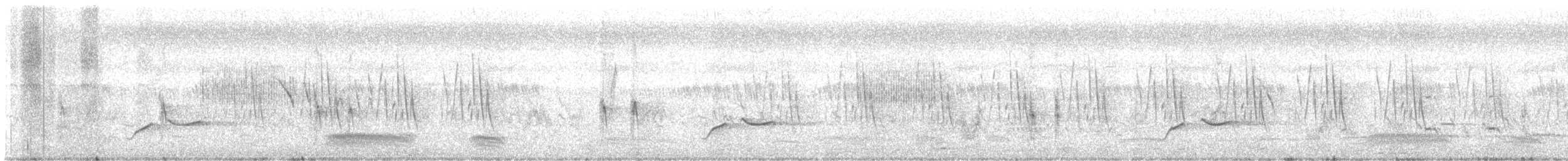 Common Iora - ML628707593