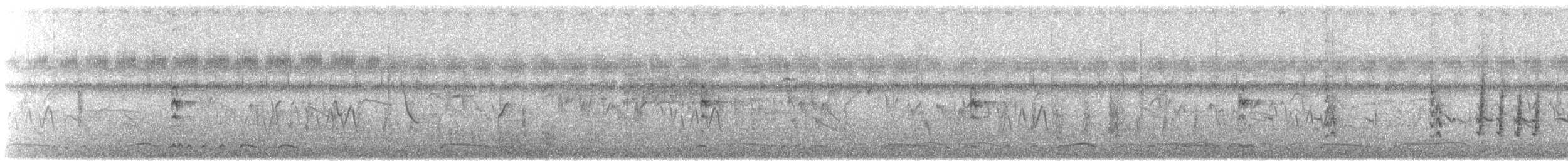 Slaty-breasted Rail - ML628708315