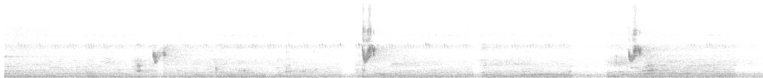 Savanna Nightjar - ML628708379