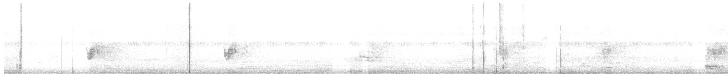 Savanna Nightjar - ML628708383