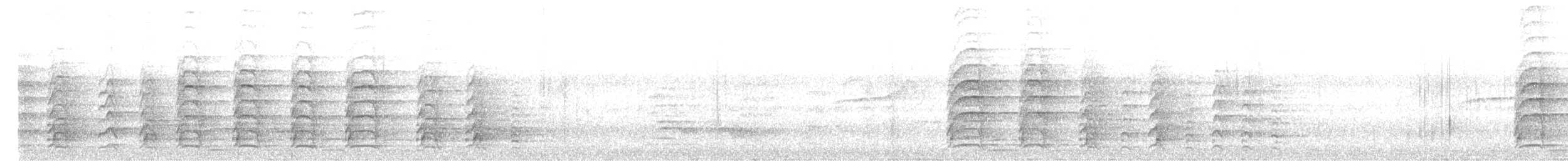 カササギサイチョウ - ML628717371