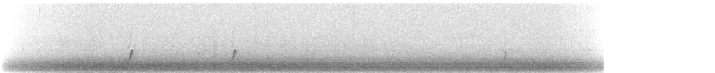 חופמי אלכסנדרי - ML628736633