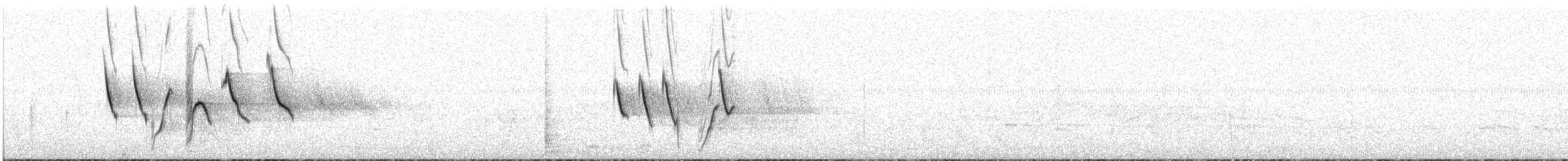 African Pied Wagtail - ML628738493